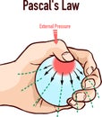 PascalÃ¢â¬â¢s Law infographic diagram vector illustration